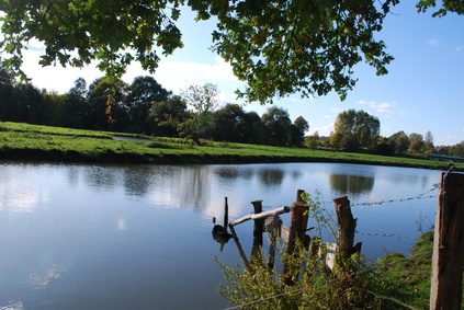 Greven - Emslandschaft